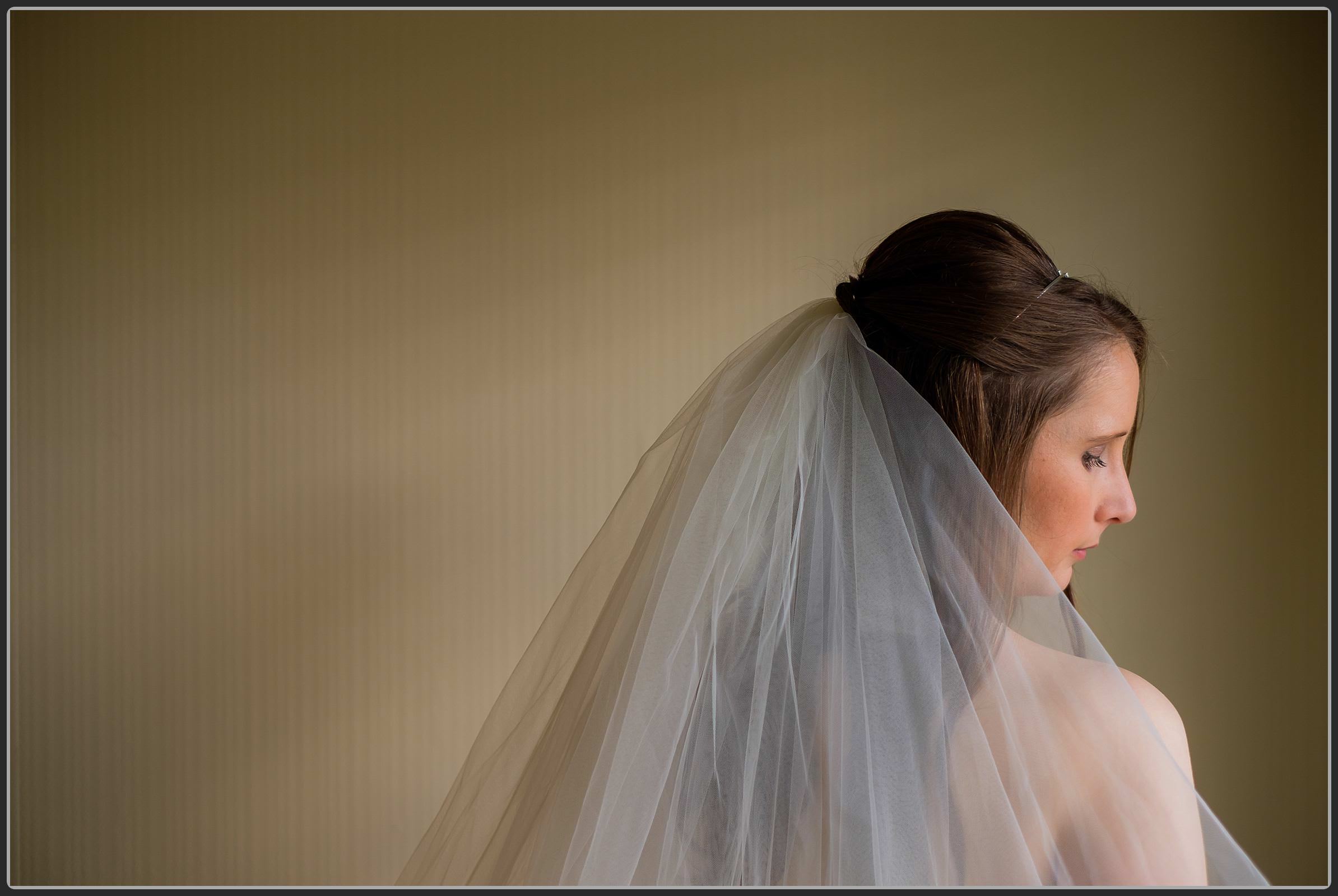 The brides veil