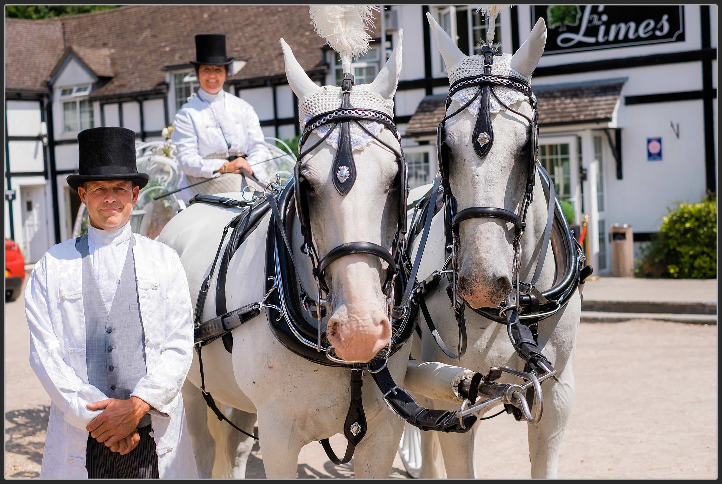 Horse drawn carriage